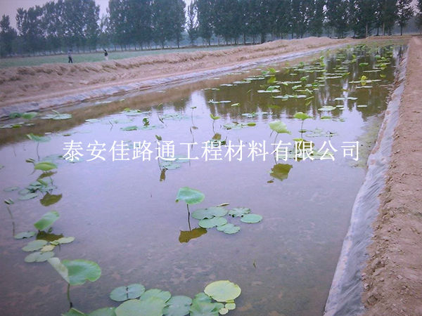 養(yǎng)殖防滲膜延伸率不足？根源在這些地方