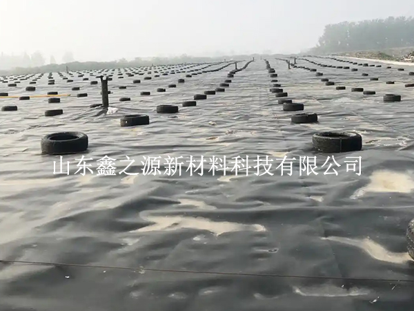 蓄水池防滲膜裁剪別亂剪，這些技巧更省心